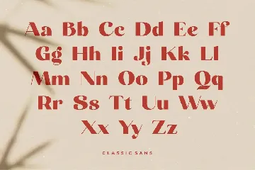 Carneys Gallery font