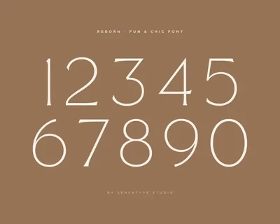 Reborn - Modern Chic Font
