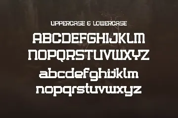 Bodems font