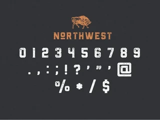 The Northwest - Textured Vintage Type Family font