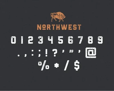 The Northwest - Textured Vintage Type Family font