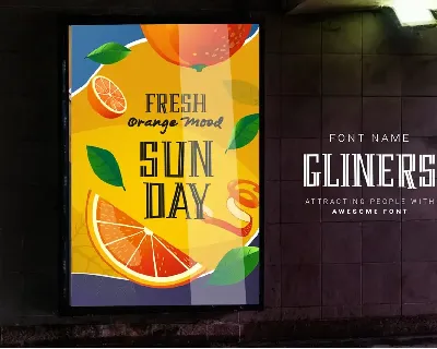 Gliner Bold Retro Vintage Font TNI