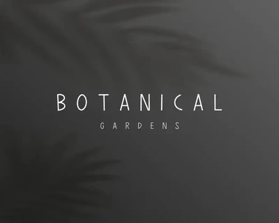 Rockiesta font