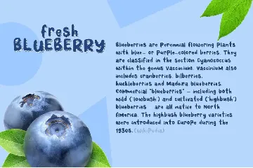 Fresh Blueberry font