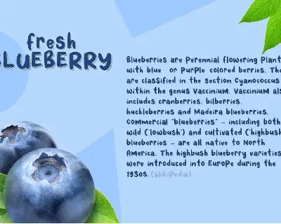 Fresh Blueberry font