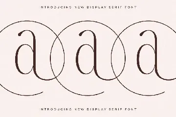 Qalderon New Display Serif font