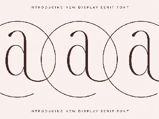 Qalderon New Display Serif font