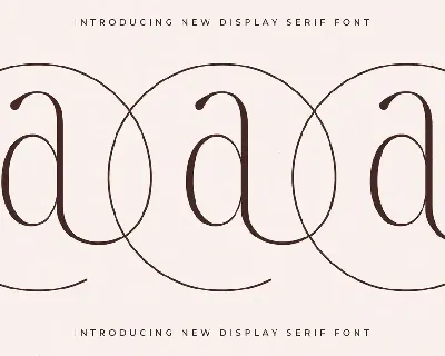 Qalderon New Display Serif font