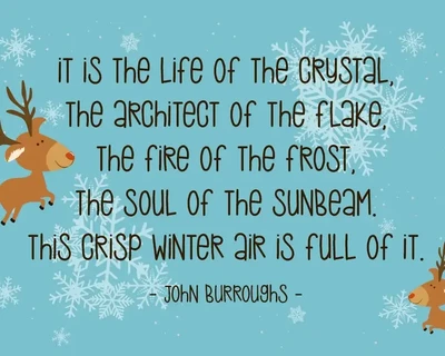 Reindeer - Kids Font