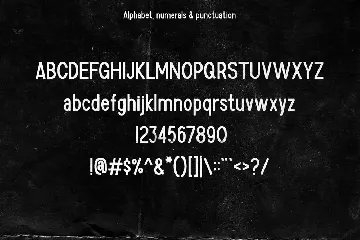 Timber Typeface font