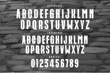 CARICK Modern Sans Serif Typeface font