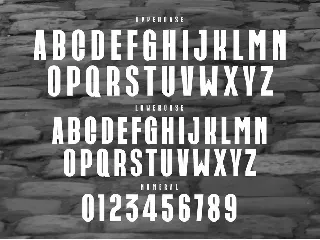 CARICK Modern Sans Serif Typeface font