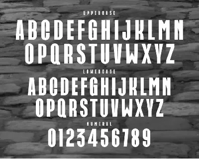 CARICK Modern Sans Serif Typeface font