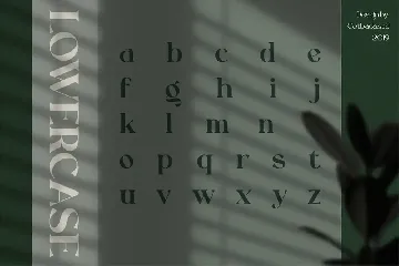 Rollgates Fabulous font