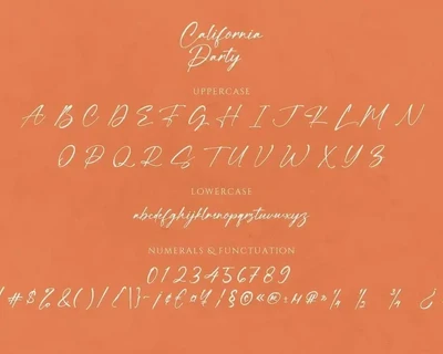 California Party Handwritten Signature Script Font