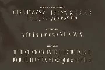 Wastogi Beautiful Serif font