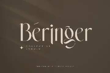 Wastogi Beautiful Serif font