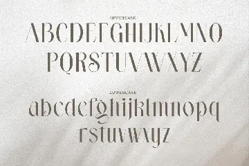 Wastogi Beautiful Serif font