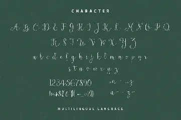 Newark Script Calligraphy font