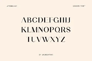 Aiguilette Luxury Serif Font