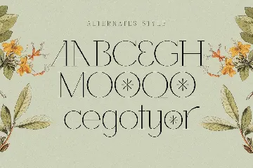 Losta Riecha - Stylish Ligature Serif font