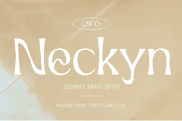 Neckyn - Quirky Sans Serif font