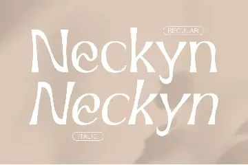 Neckyn - Quirky Sans Serif font