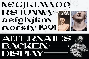 Backen - Bold Serif font