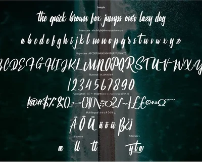 Dayana | Modern Font Script