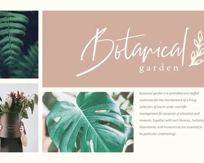 Stadella Signature Script Business Font