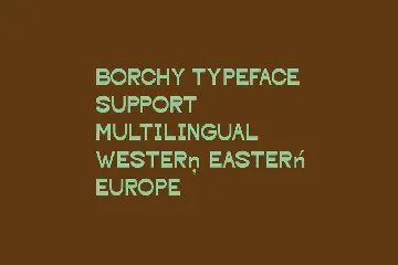 Borchy Reverse Contrast Display Sans Font