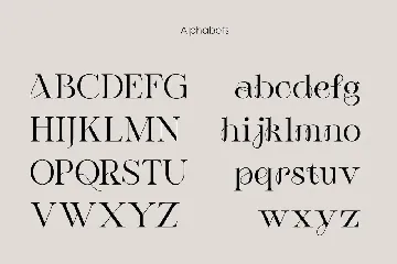 Botanika | Stylish Serif font