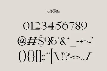 Botanika | Stylish Serif font