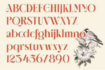 NEIMA font