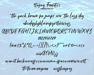 Stay Funatics | Brush Handwriting Script Font