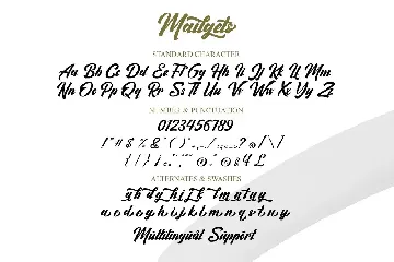 Mailgets font