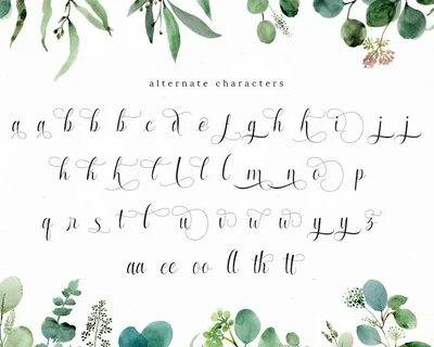 Enchanting Script Font