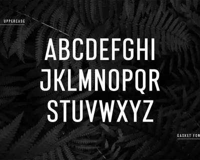 Gasket - Modern Corporate Condensed Sans Serif font