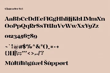 Blitez Semi Serif Display Font