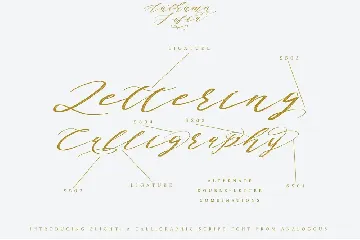 Authumn Sofia | Calligraphy Font