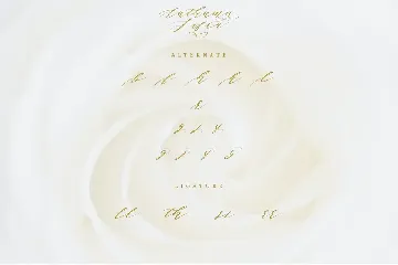 Authumn Sofia | Calligraphy Font