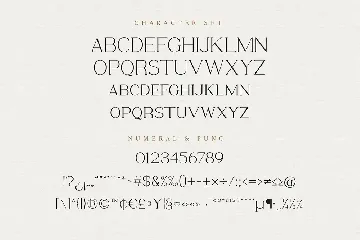 Bervina - Letterhead Serif Font