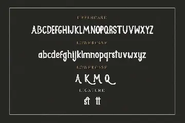 Questy Stylish Display Font