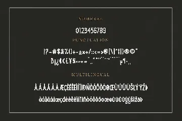 Questy Stylish Display Font