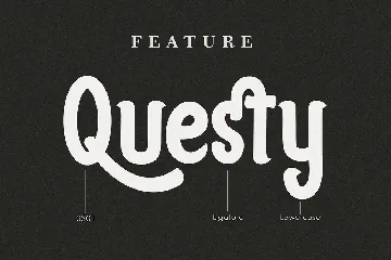 Questy Stylish Display Font