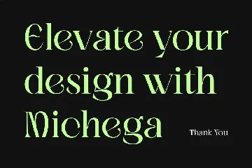 Michega Decorative Serif Typeface font