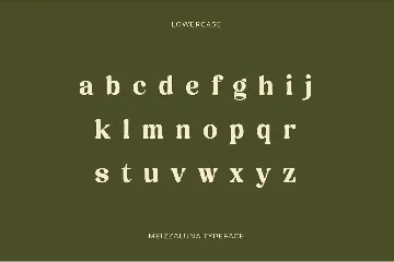 Meizzaluna - Classic Serif Display Font