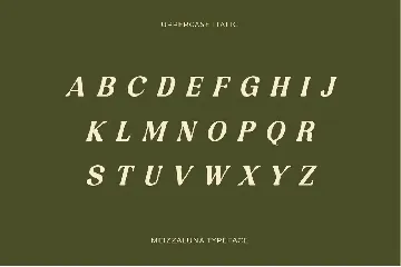 Meizzaluna - Classic Serif Display Font