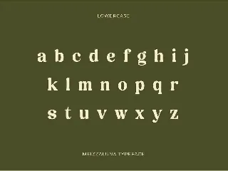 Meizzaluna - Classic Serif Display Font
