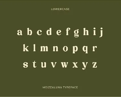 Meizzaluna - Classic Serif Display Font